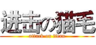 进击の猫毛 (attack on titan)