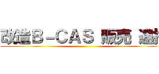 改造Ｂ－ＣＡＳ 販売 逮捕 ()