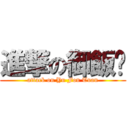 進撃の御飯糰 (attack on Yu Fon Tuan)