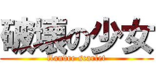 破壊の少女 (flandre scarlet)