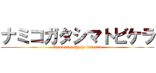 ナミコガタシマトビケラ (Cheumatopshyche infascia)