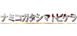 ナミコガタシマトビケラ (Cheumatopshyche infascia)