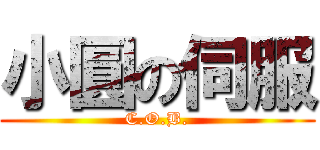 小圓の伺服 (C.O.B.)