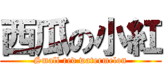 西瓜の小紅 (Small red watermelon)