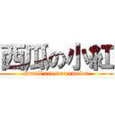 西瓜の小紅 (Small red watermelon)