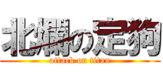 北爛の定狗 (attack on titan)