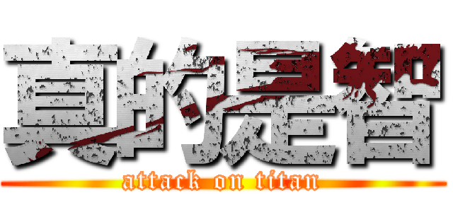 真的是智 (attack on titan)