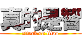 真的是智 (attack on titan)