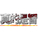 真的是智 (attack on titan)