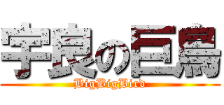 宇良の巨鳥 (BigBigBird)