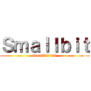 Ｓｍａｌｌｂｉｔ (Smallbit\'fml)