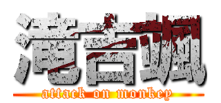 滝吉颯 (attack on monkey)