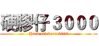 硬膠仔３０００ (Hard stickers 3000)
