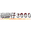 硬膠仔３０００ (Hard stickers 3000)