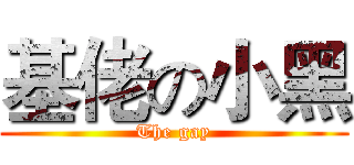 基佬の小黑 (The gay)