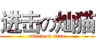 进击の灿猫 (attack on titan)
