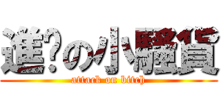 進擊の小騷貨 (attack on bitch)