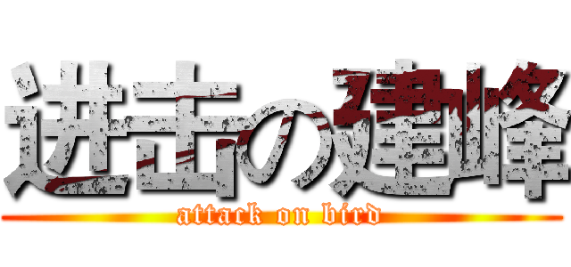 进击の建峰 (attack on bird)