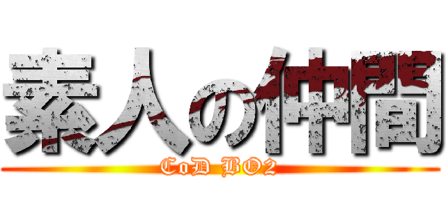 素人の仲間 (CoD BO2)