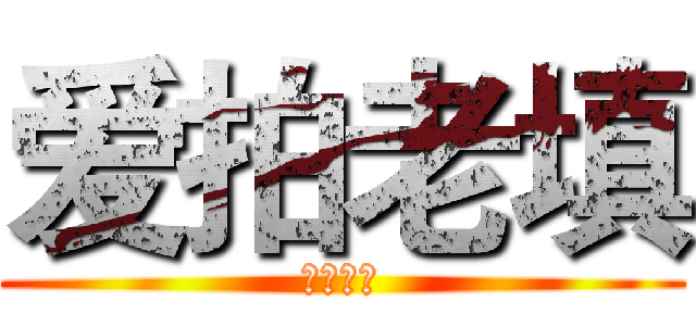 爱拍老填 (爱拍老填)