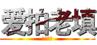 爱拍老填 (爱拍老填)