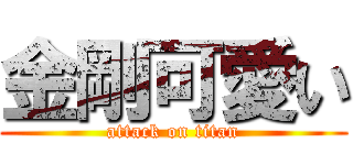 金剛可愛い (attack on titan)