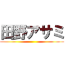 田野アサミ ()
