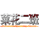 菜花二班 (Materials Chemistry Class2)