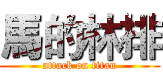 馬的林排 (attack on titan)