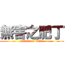 無害之肥丁 (attack on titan)