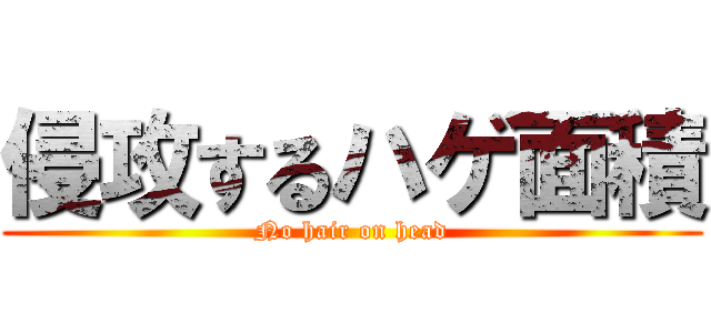 侵攻するハゲ面積 (No hair on head)