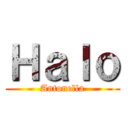 Ｈａｌｏ (Antonella)