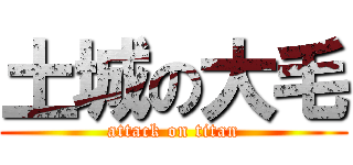 土城の大毛 (attack on titan)