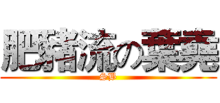 肥豬流の葉堯 (SB)