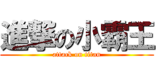 進撃の小霸王 (attack on titan)