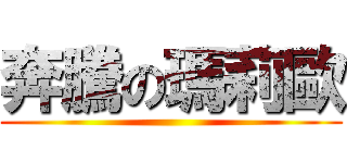 奔騰の瑪莉歐 ()