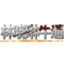 林晓琳牛逼 (attack on titan)