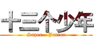 十三个少年 (Super    Junior)