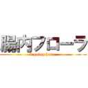 腸内フローラ (I going home.)