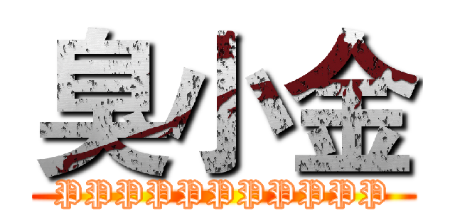 臭小金 (PPPPPPPPPPP)