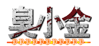 臭小金 (PPPPPPPPPPP)