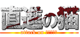 直進の猫 (attack on ｄａｄｄｙ)