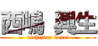 西嶋 興生 (nishijima kosei)