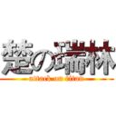楚の瑞林 (attack on titan)
