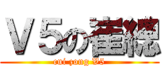 Ｖ５の崔總 (cui zong V5)