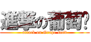 進撃の葡萄籽 (attack on Grape seed)