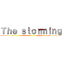 Ｔｈｅ ｓｔｏｒｍｉｎｇ ()