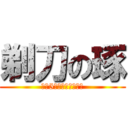 剃刀の琢 (令和5年度当初予算編成)