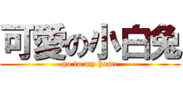 可愛の小白兔 (go to my home)