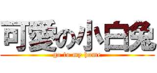 可愛の小白兔 (go to my home)